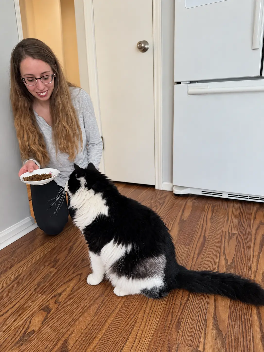 Pet being cared for at home